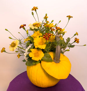 A sunny yellow arrangement inside of a mellow yellow pumpkin created with, ruscus, variegated pittosporum, zinnias, marigolds, and sunflowers.