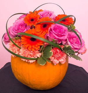 A vibrant pumpkin arrangement made with, variegated pittosporum, pink roses, peach carnations, orange gerbera daisies, and accented with strands of lily grass.